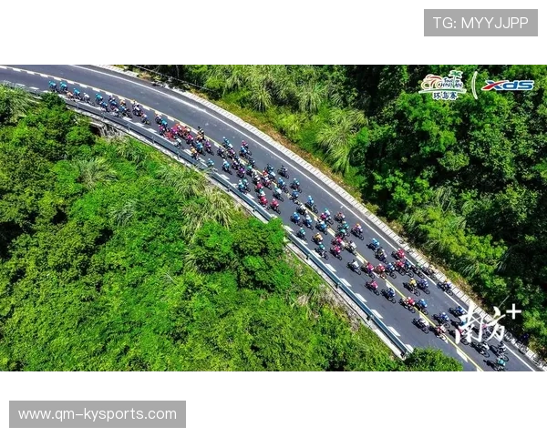 国际自行车山地赛开展赛道生态修复志愿行动，山地自行车比赛赛道
